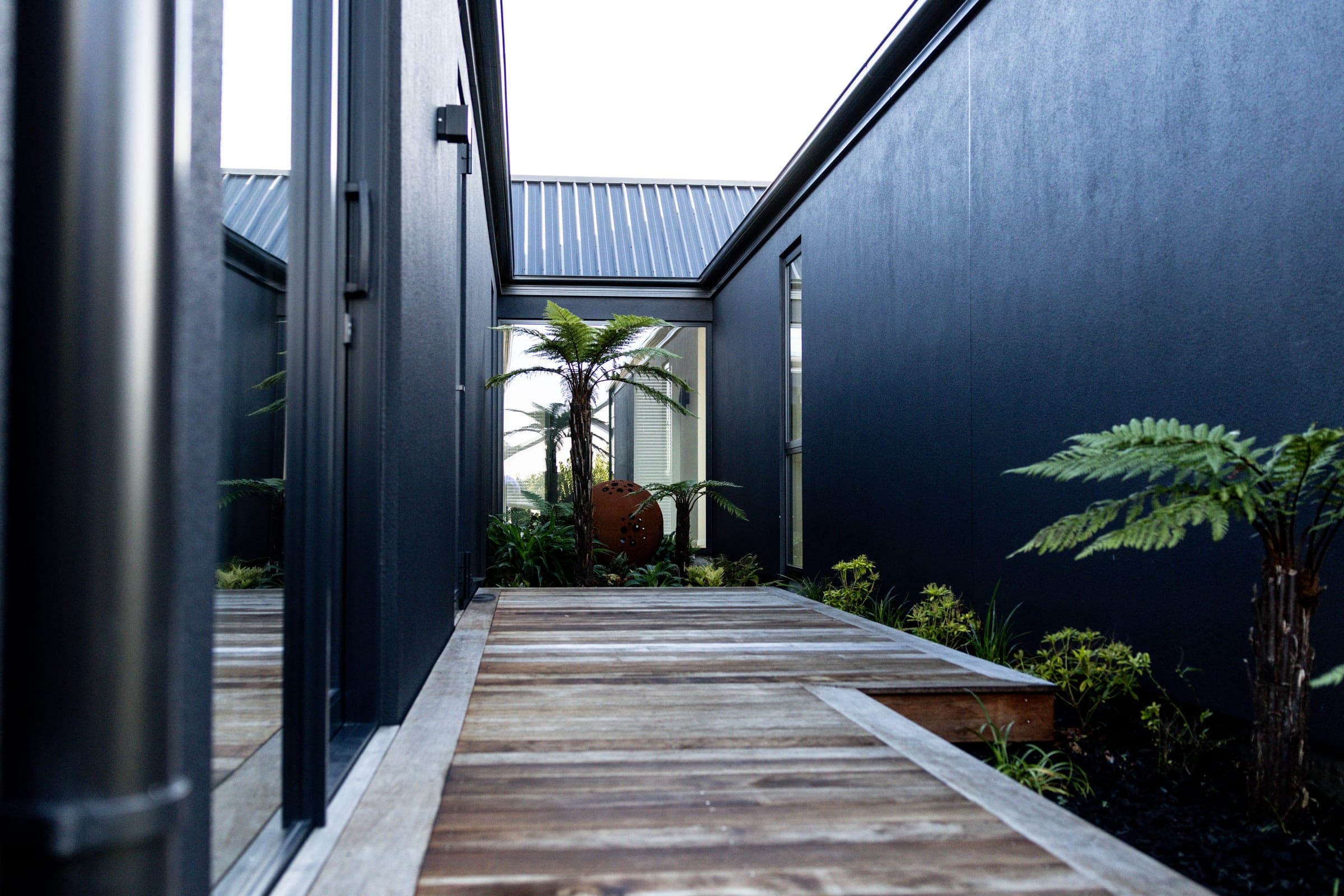 A timber boardwalk through the sheltered courtyard, with tree ferns and a corten feature.
