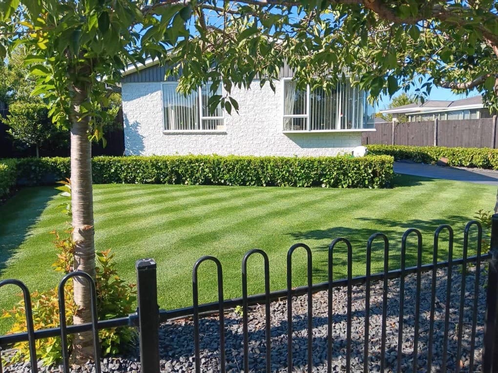 Lawns