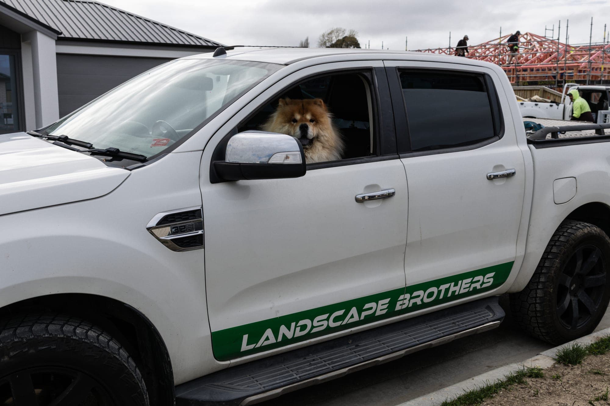 The team ute, and the occasional four-legged supervisor.